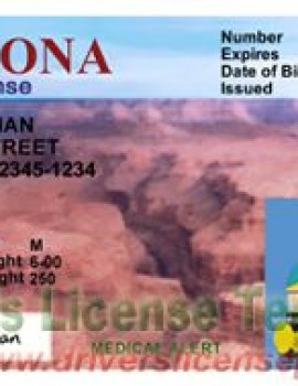 Blank Arizona Drivers License